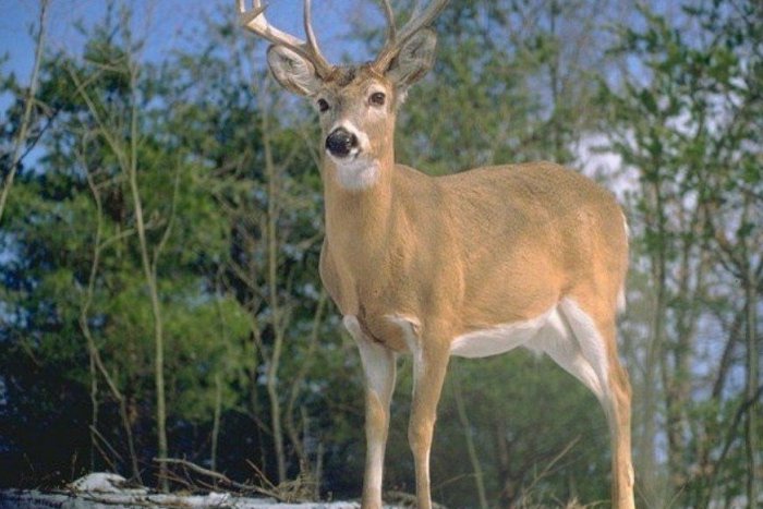 Ilustračný obrázok k článku PODROBNÝ PREHĽAD: Envirofilm láka programom, vyberte si z pestrej ponuky